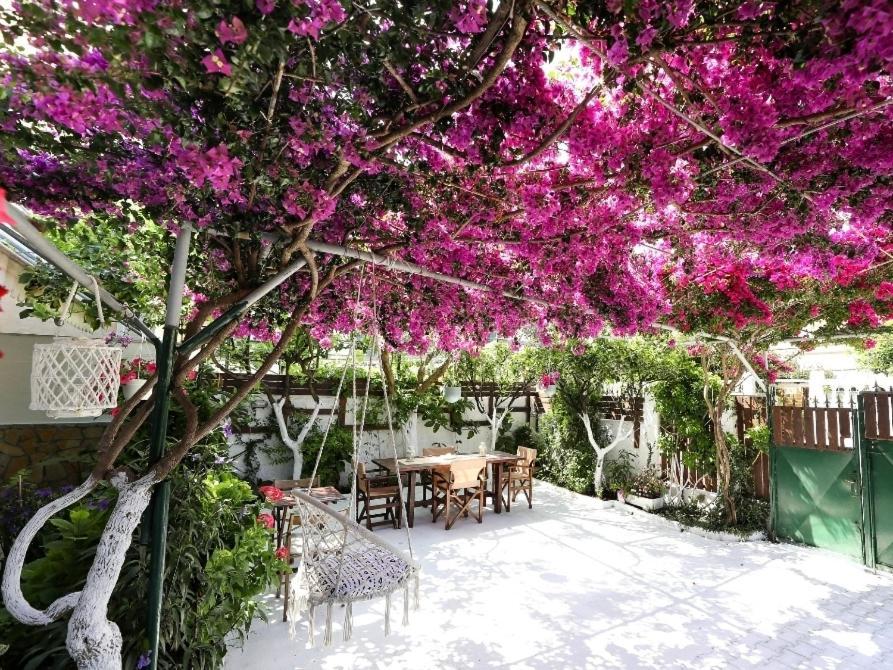 Apartments Athina Orikum Exterior foto